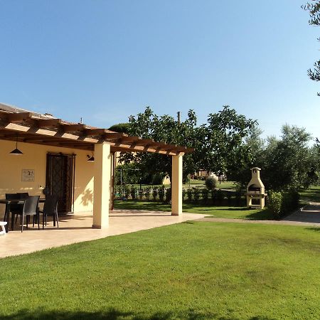 Agriturismo Dallolivo Bolgheri Εξωτερικό φωτογραφία