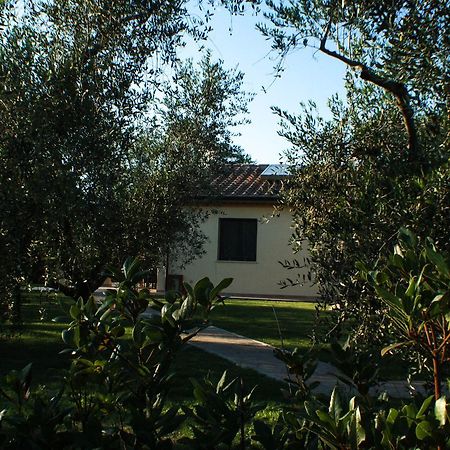 Agriturismo Dallolivo Bolgheri Εξωτερικό φωτογραφία