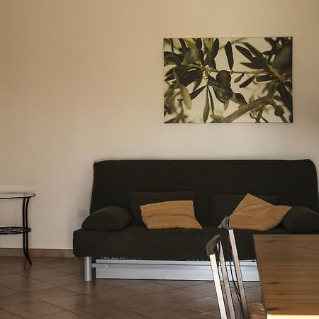 Agriturismo Dallolivo Bolgheri Εξωτερικό φωτογραφία