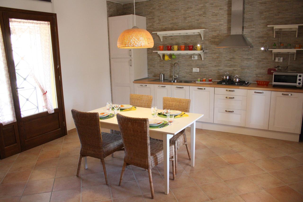Agriturismo Dallolivo Bolgheri Εξωτερικό φωτογραφία