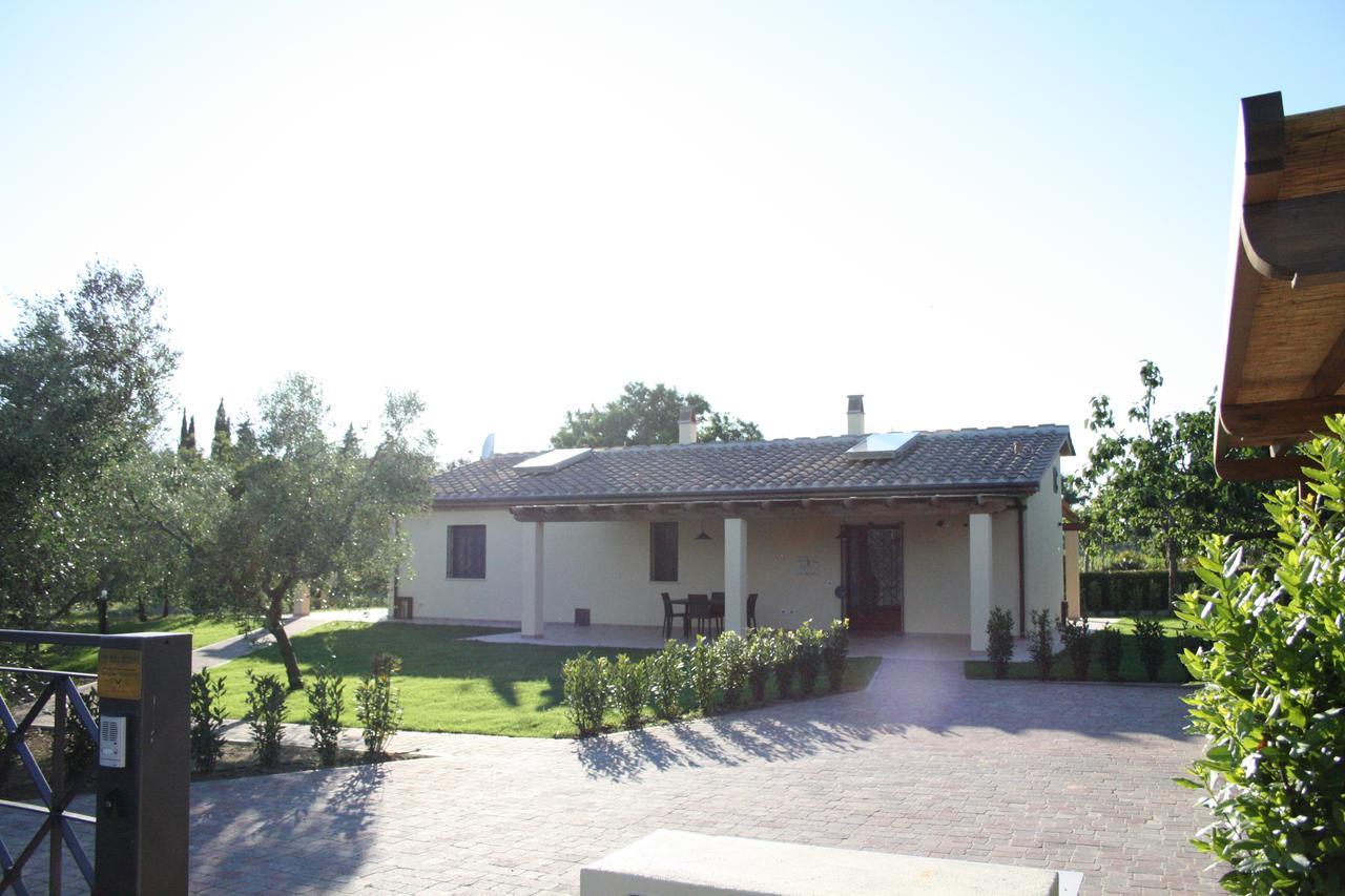 Agriturismo Dallolivo Bolgheri Εξωτερικό φωτογραφία