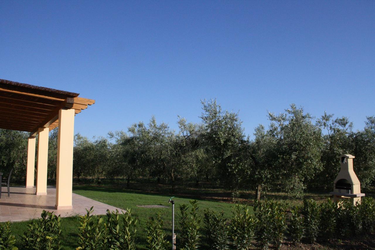 Agriturismo Dallolivo Bolgheri Εξωτερικό φωτογραφία