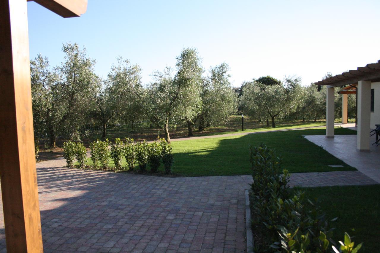 Agriturismo Dallolivo Bolgheri Εξωτερικό φωτογραφία