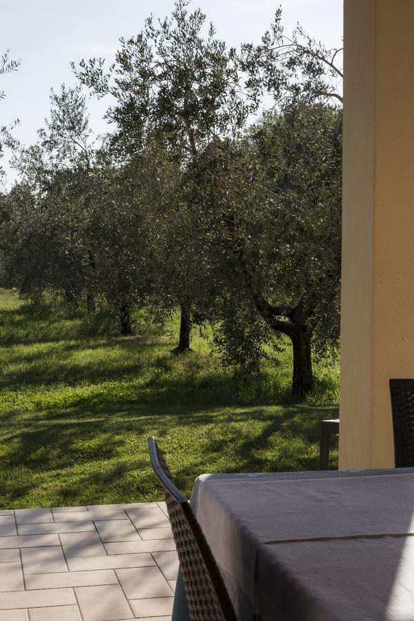 Agriturismo Dallolivo Bolgheri Εξωτερικό φωτογραφία
