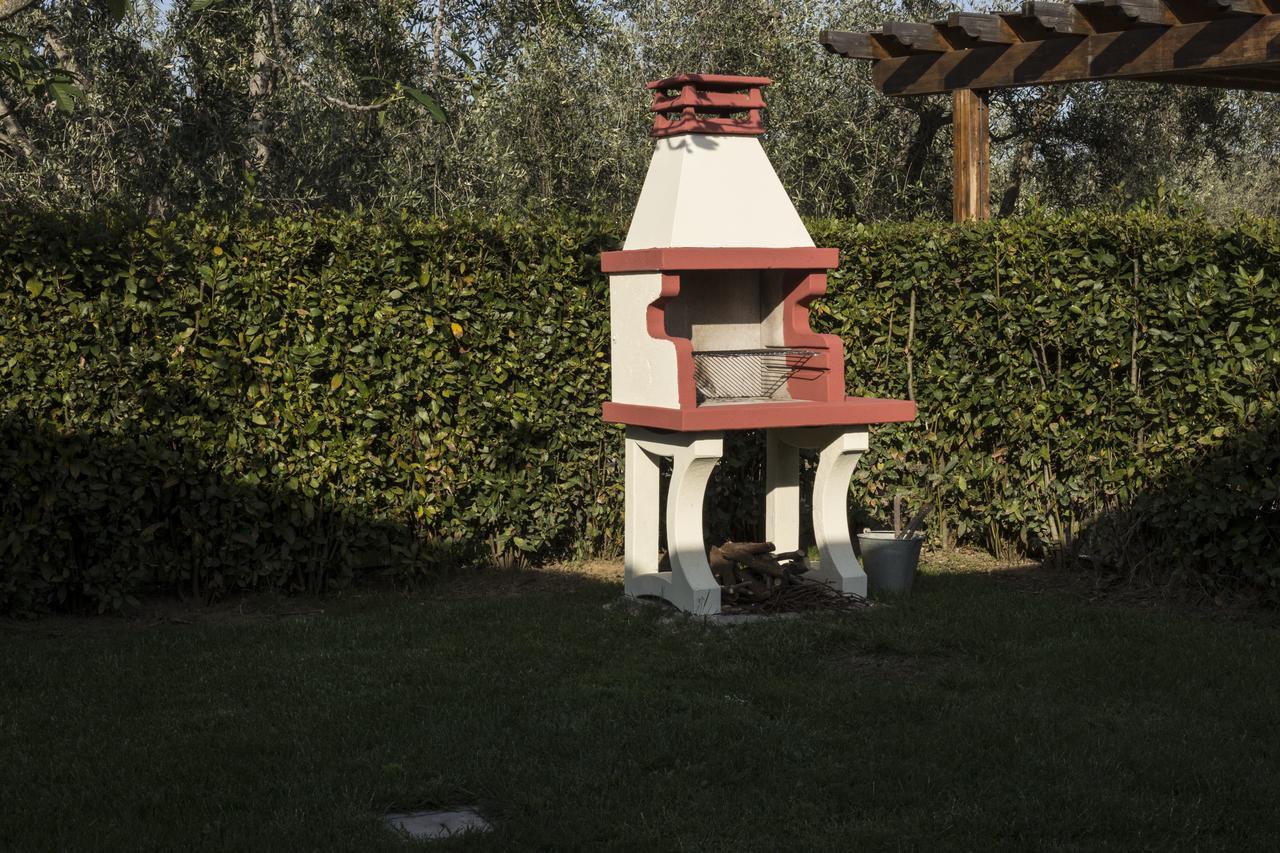 Agriturismo Dallolivo Bolgheri Εξωτερικό φωτογραφία